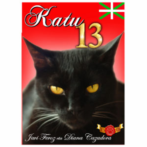 La Baraja del gato 13-Euskera